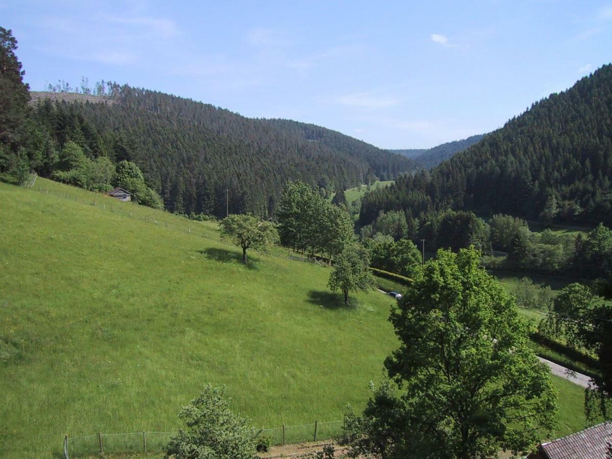 Ferienwohnung Kaufmann Байерсброн Екстериор снимка